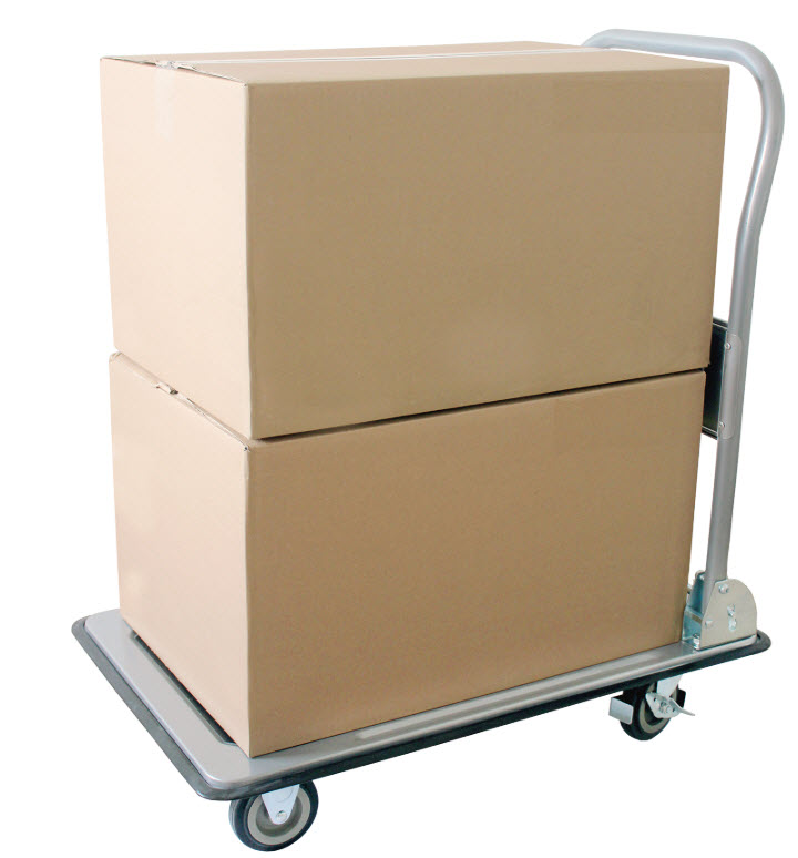 Plattformwagen 250 Kg